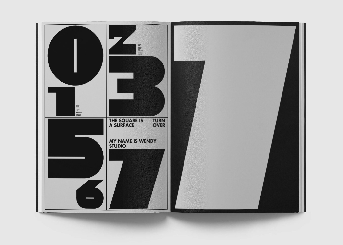 Editorial design of art book