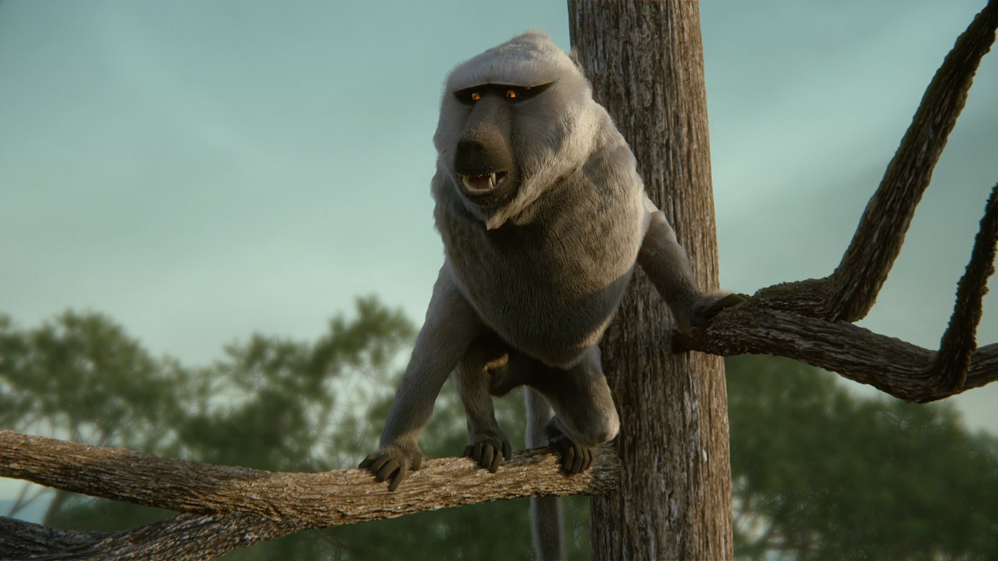 animals animation  Baboon Fur Render
