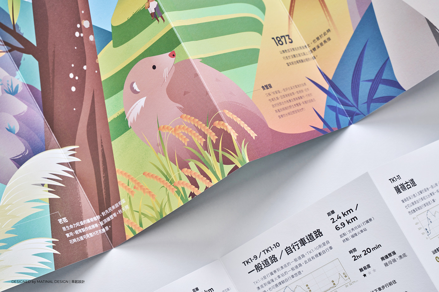 brochure graphic design  hiking ILLUSTRATION  infographics mountain Outdoor taiwan trail Travel