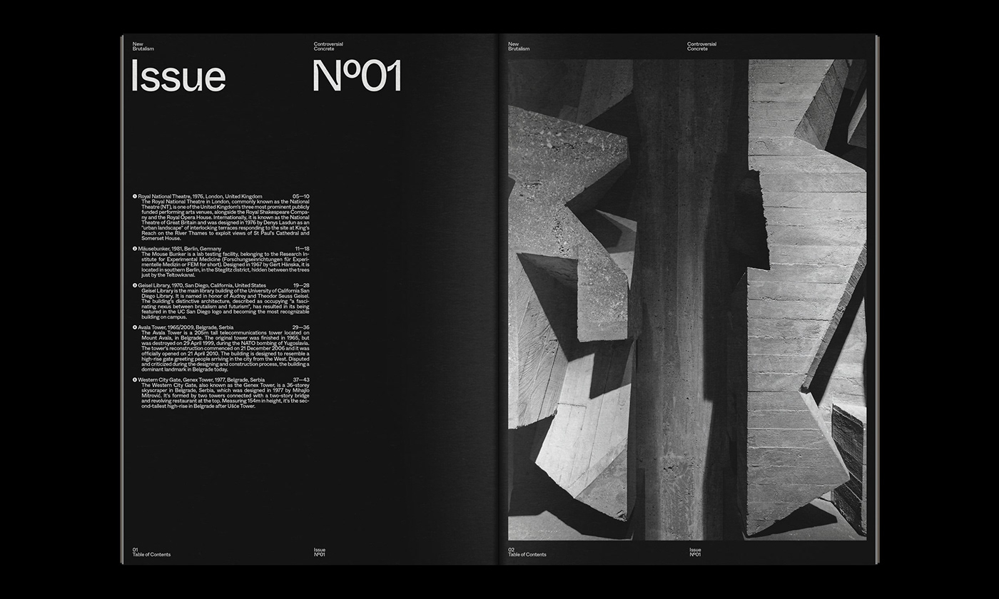 architecture Booklet Brutalism editorial graphic design  magazine concrete grid typography   print