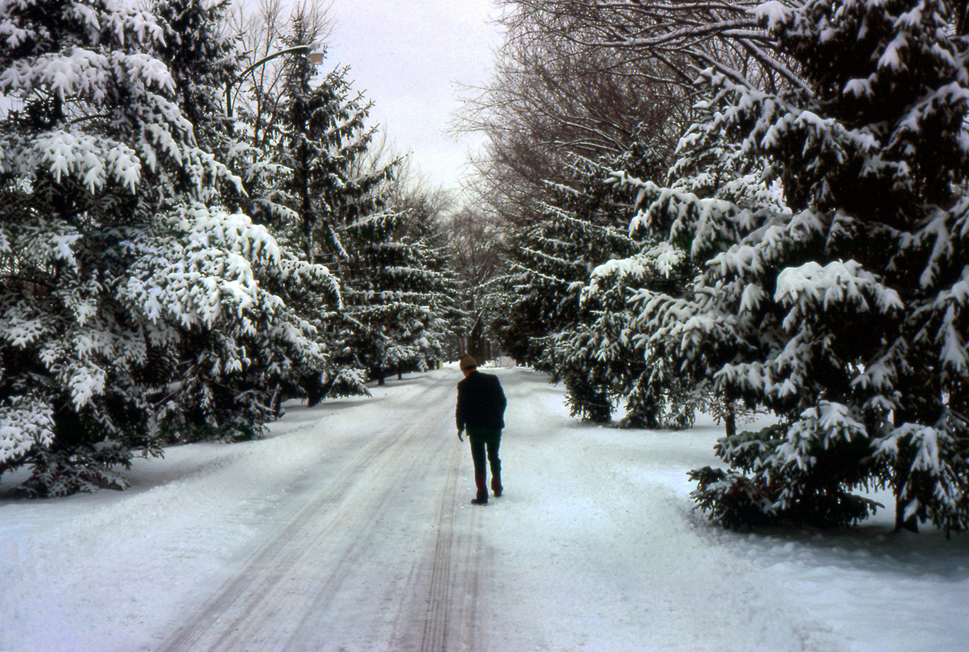 35mm amateur city Kodachrome New York Photography  slides united states usa winter