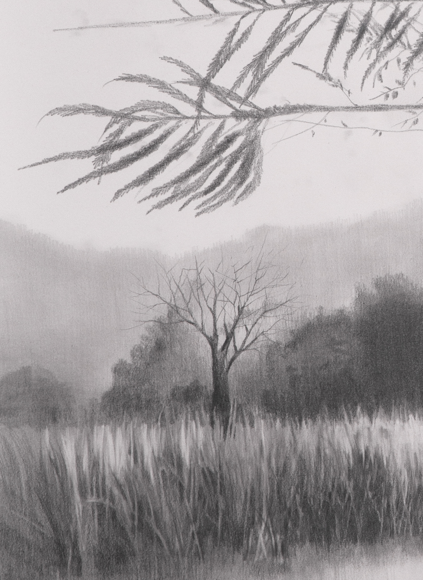 Realism pencil Figure Drawing black and white graphite lanscape Photography  Nature contemporary art artwork