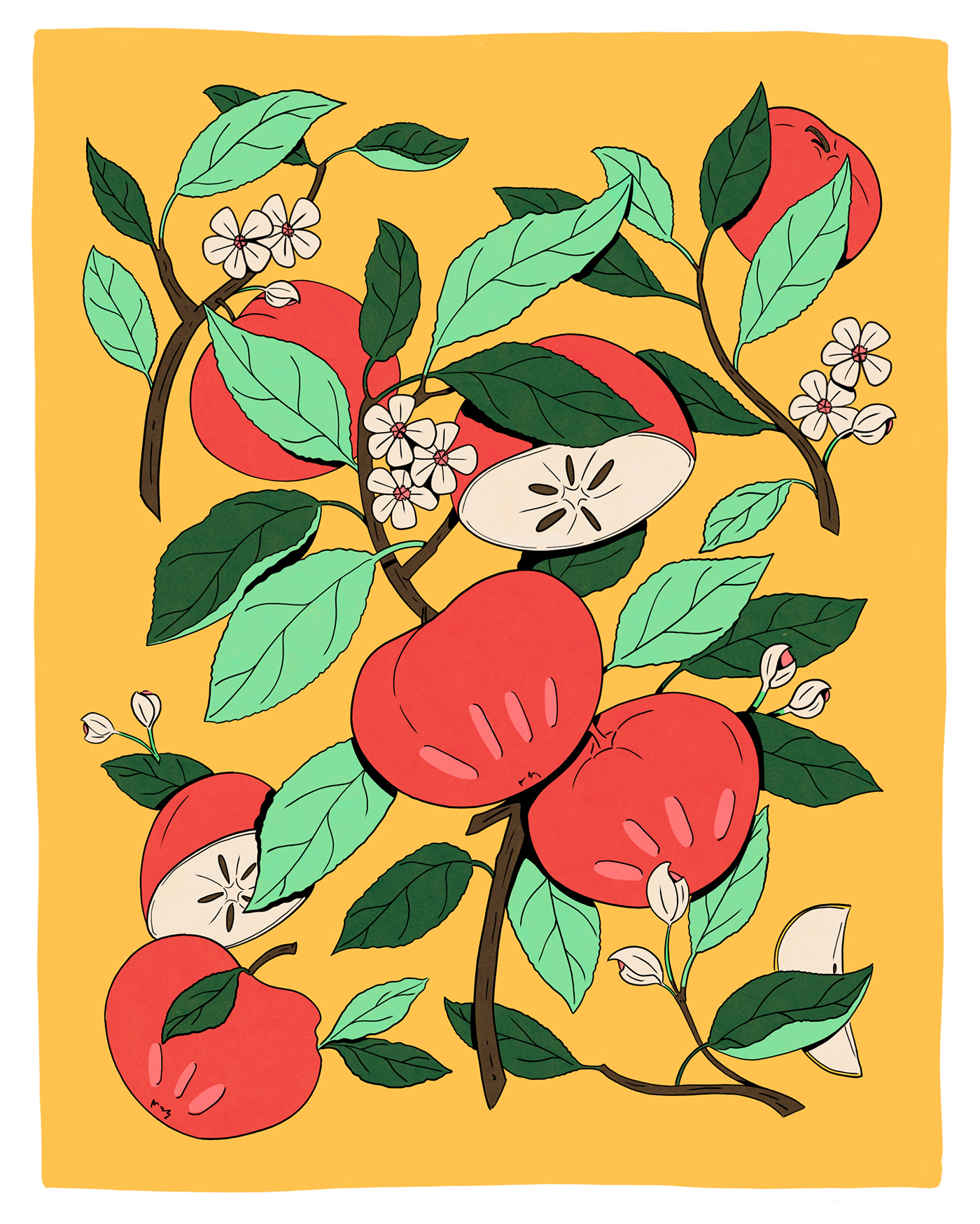 apple Fruit illustrations Plant rose
