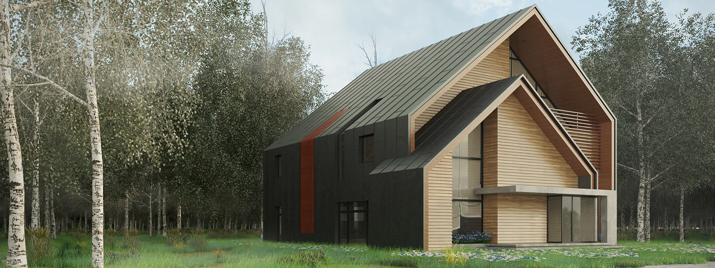#architecture 3dsmax 3dvisualisation Blackhome concept contemporary coronarenderer design exterior photoshop