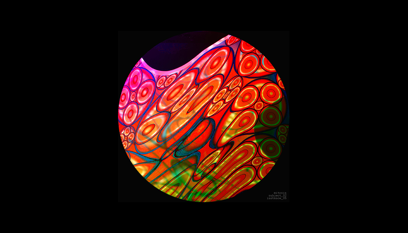 mitosis Cell cells visual aesthetics Esthetics anatomic microscope microscopic pattern photomanipulation