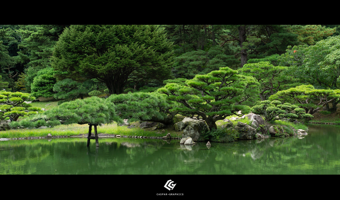 cinematography garden japan lightroom Photography  photoshop Wabi Sabi zen