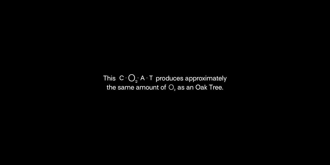 art direction  branding  coat Fashion  graphic design  innovation oxygen photosynthesis Sustainability