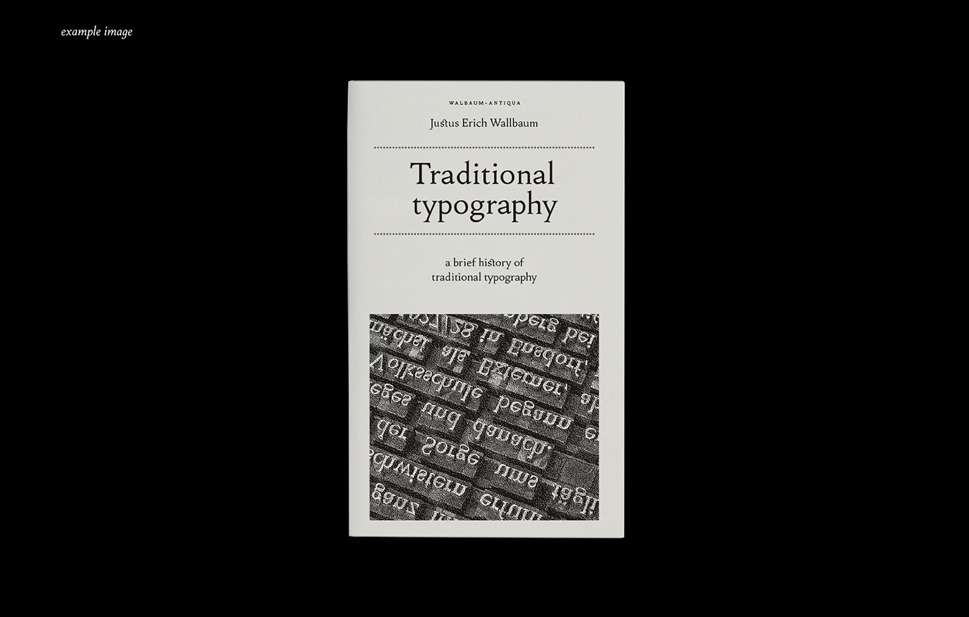 typedesign Typeface typography   serif font fontdesign