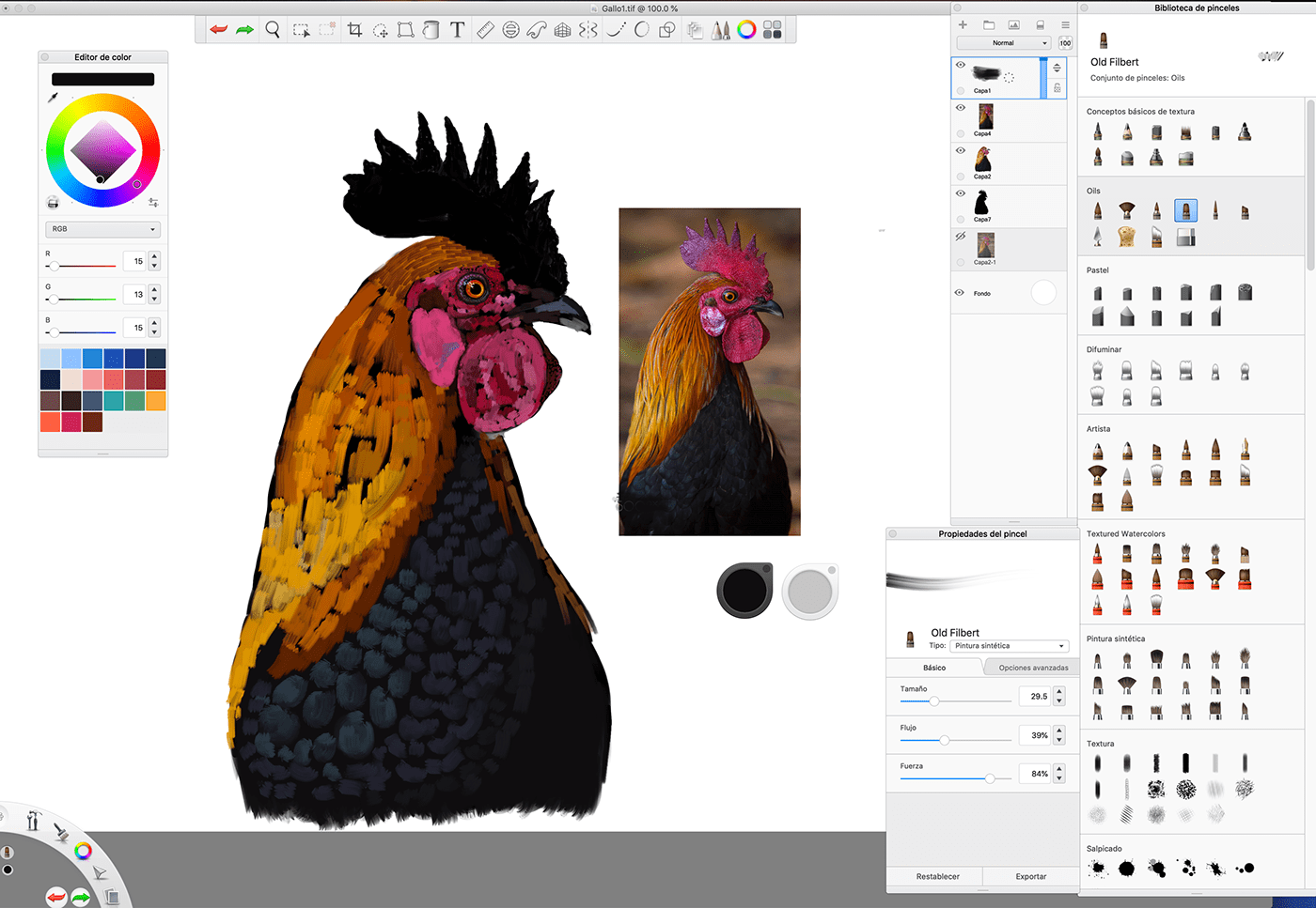 animal artwork Character digital painting digitalwork  farm Golden Rooster ILLUSTRATION  Rooster sketchbook