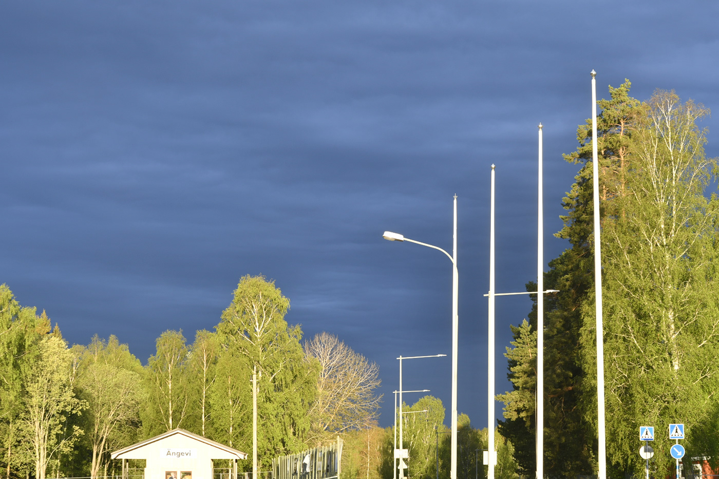 SKY weather flagpoles wood forest bearch Entrance entre streetlight