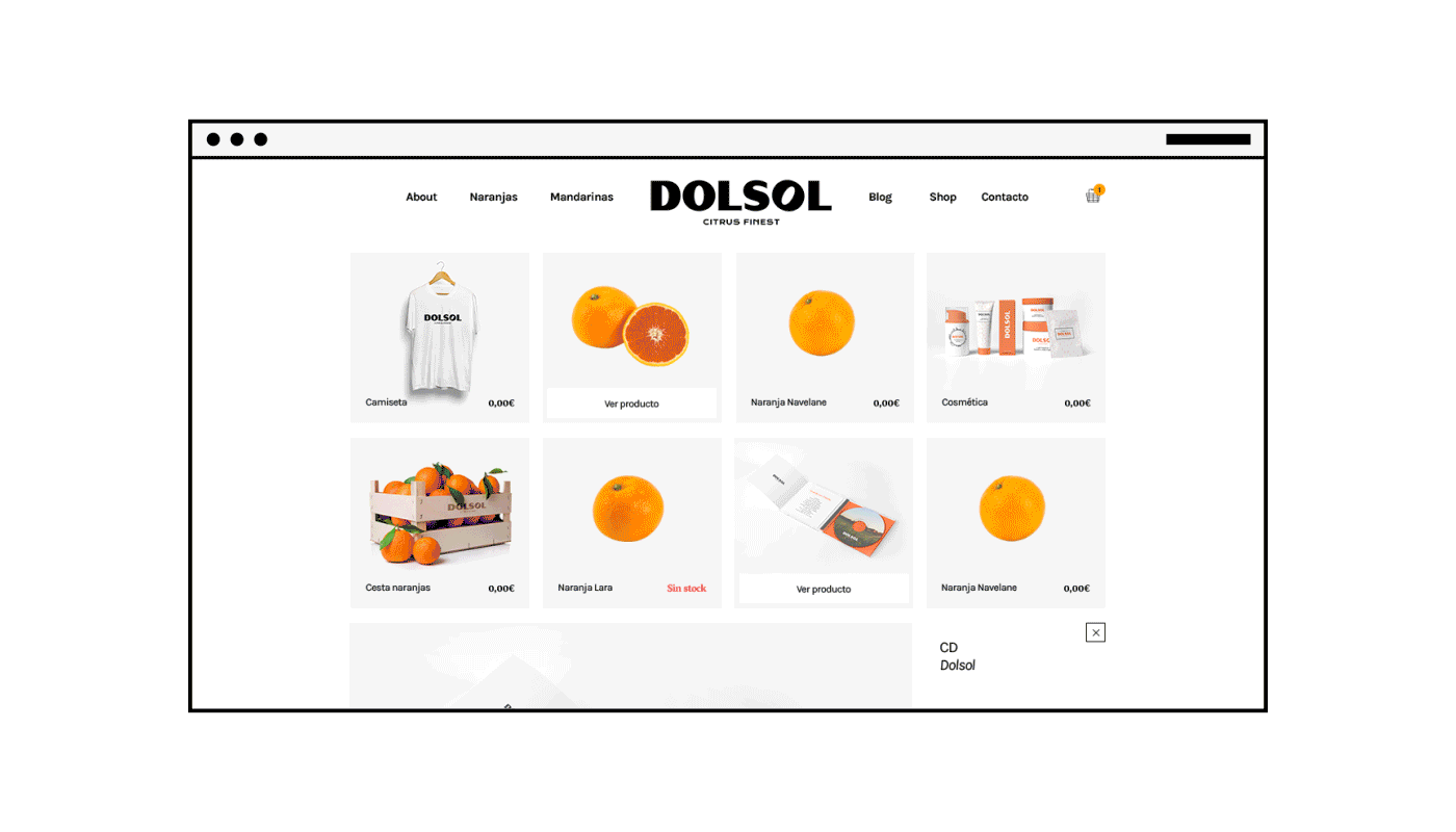 Photography  animation  orange fruits branding  Web Design  valencia spain naranjas