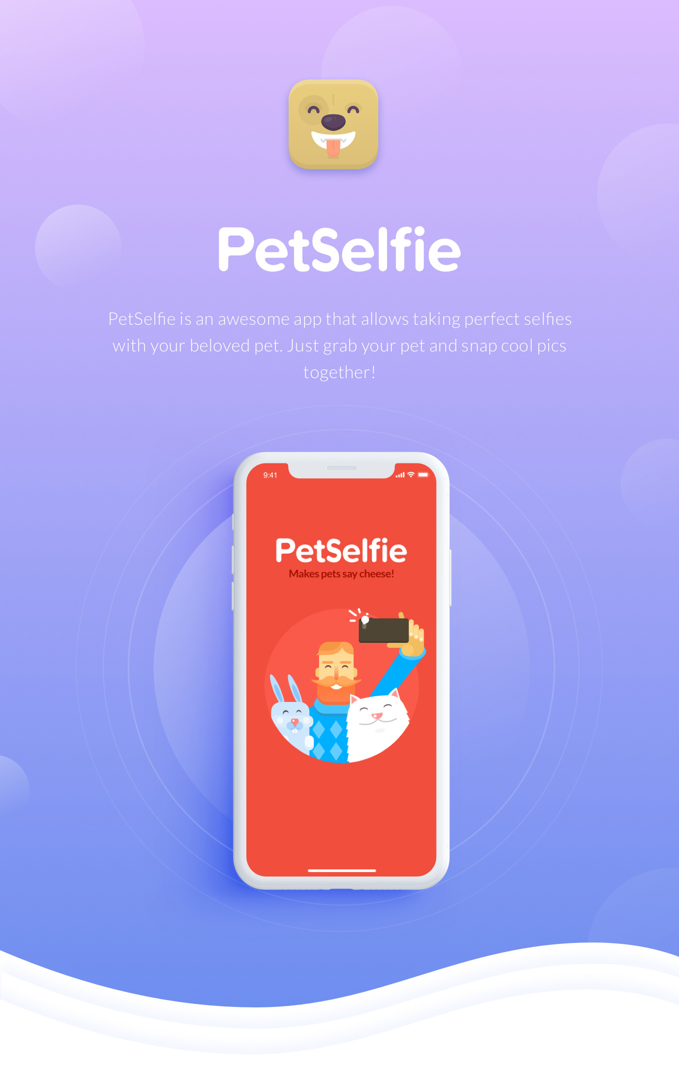 Appdesign UI ux design wireframes UserInterface graphicdesign flat vector pets