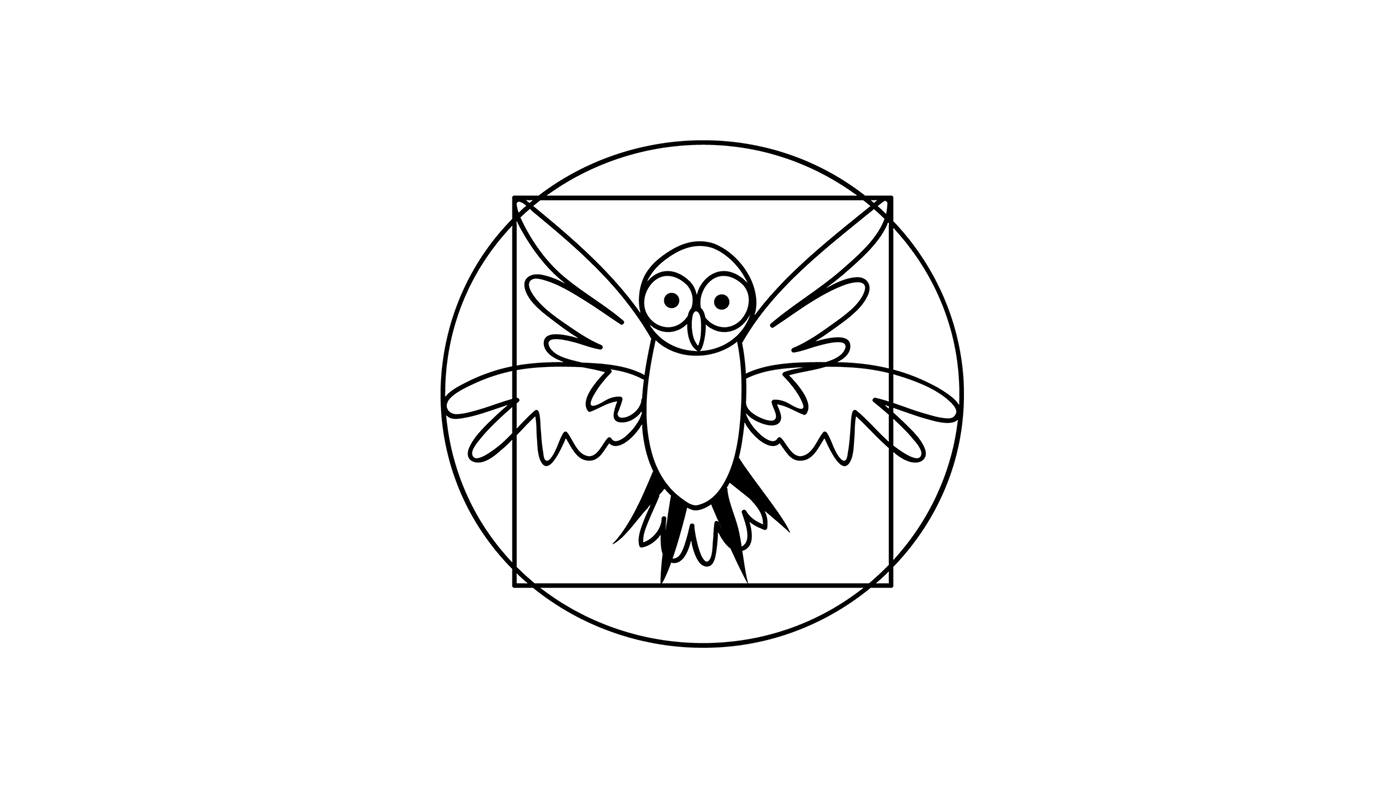 brand counselling owl ILLUSTRATION  identity logo