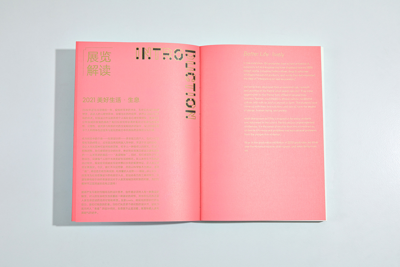 book design editorial InDesign Layout print typography  
