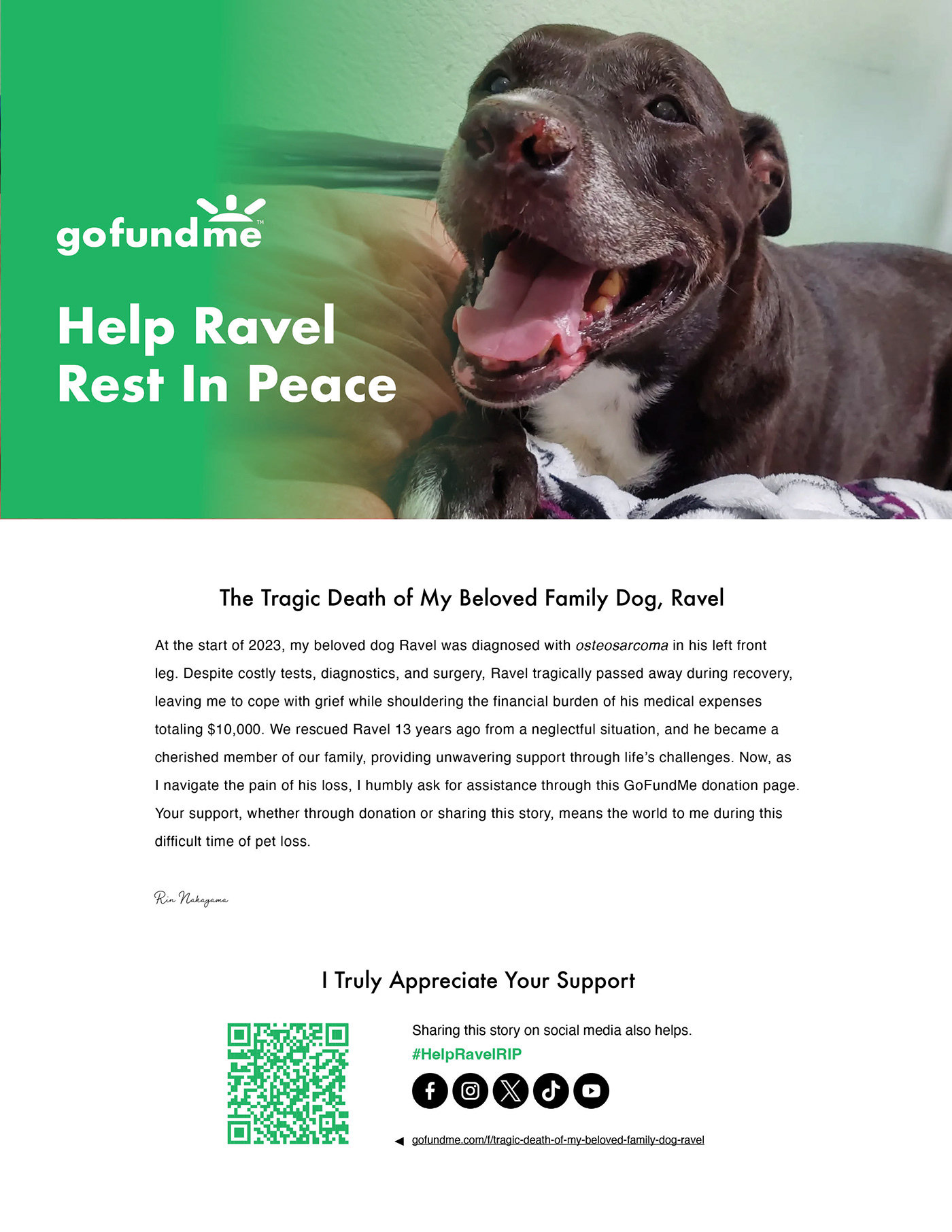 animals graphic design  logo Social media post flyer donation help button pins