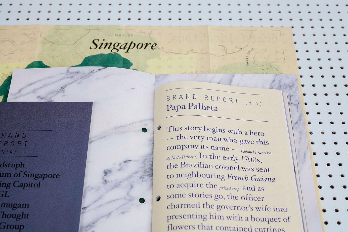 foreign policy design singapore yah-leng yu book design publication design Brand Design travel guide