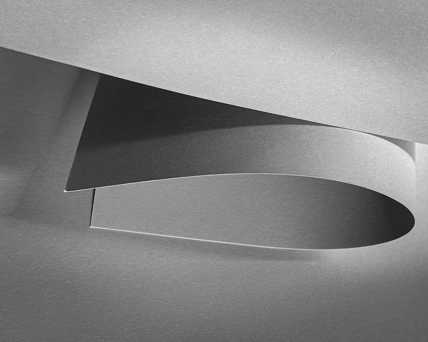 paper texture Photography  Studio Photography shapes abstract monochrome Form