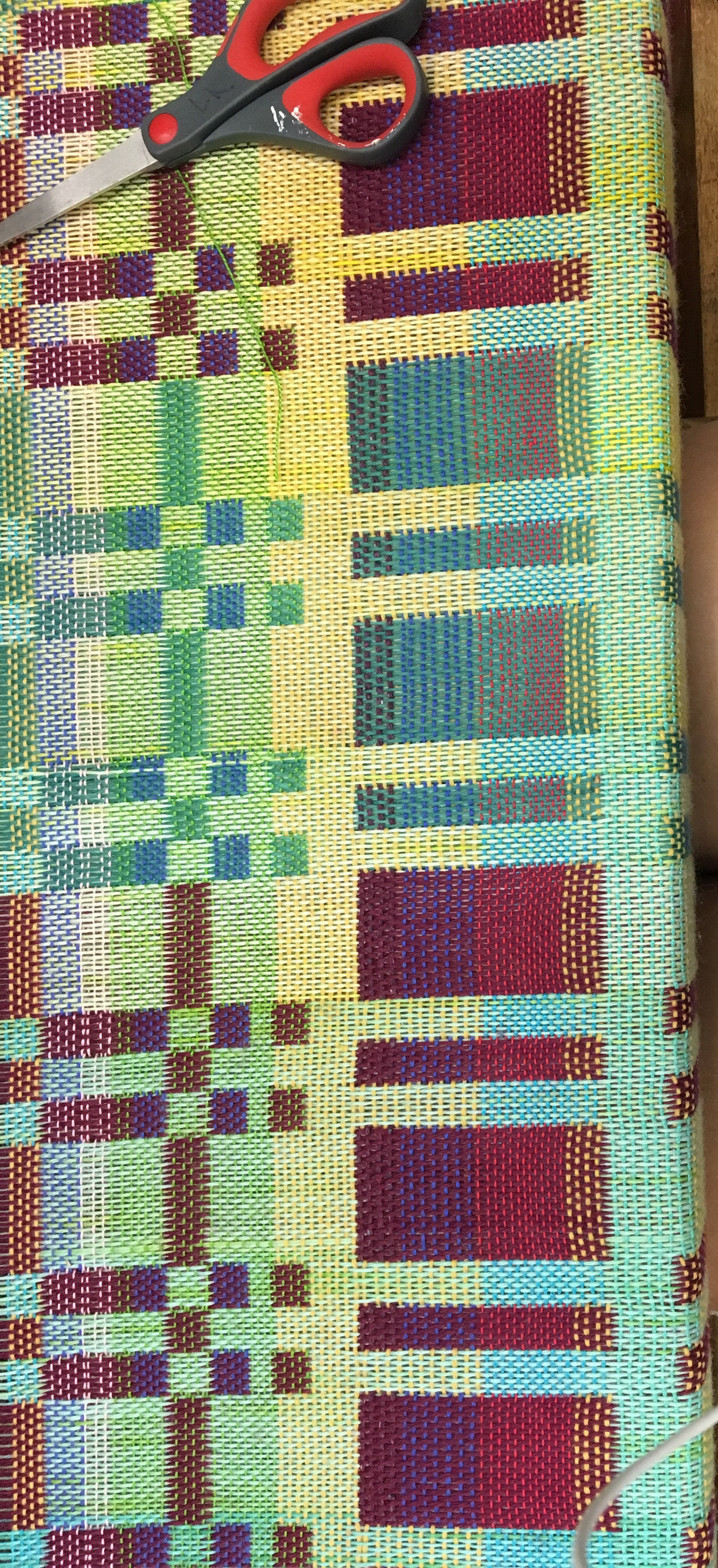 weaving color pattern plants