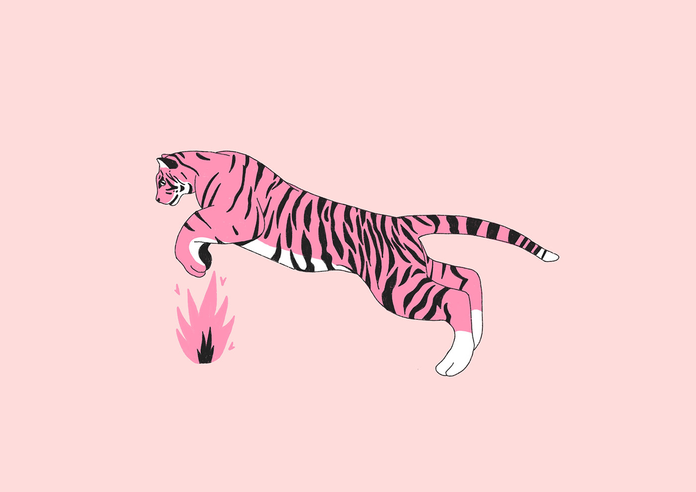 bebi fernandez fire ILLUSTRATION  pink rosa tiger