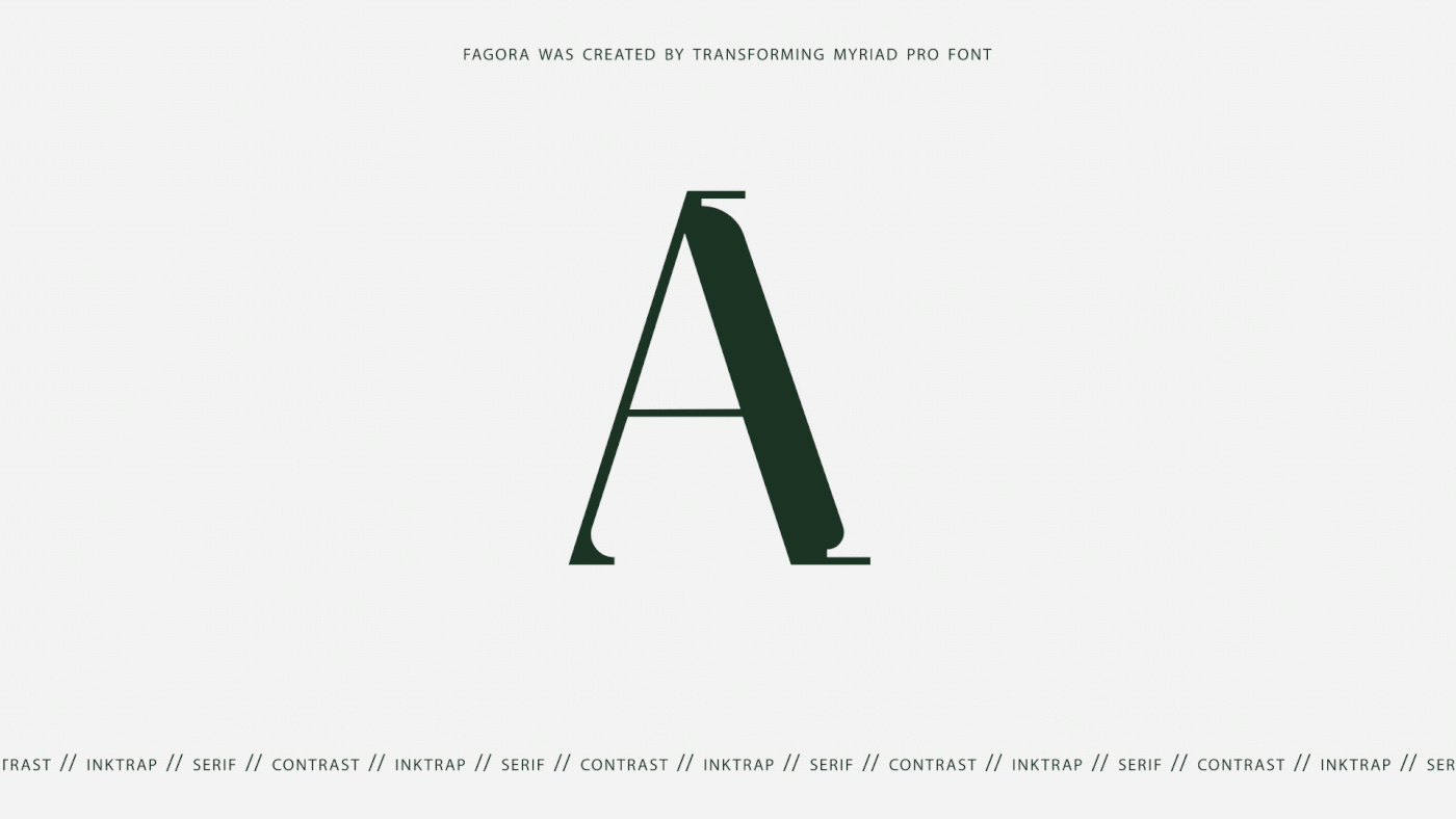 typography   font fontdesign Typeface typeface design typo graphic design  typography design fonts type design