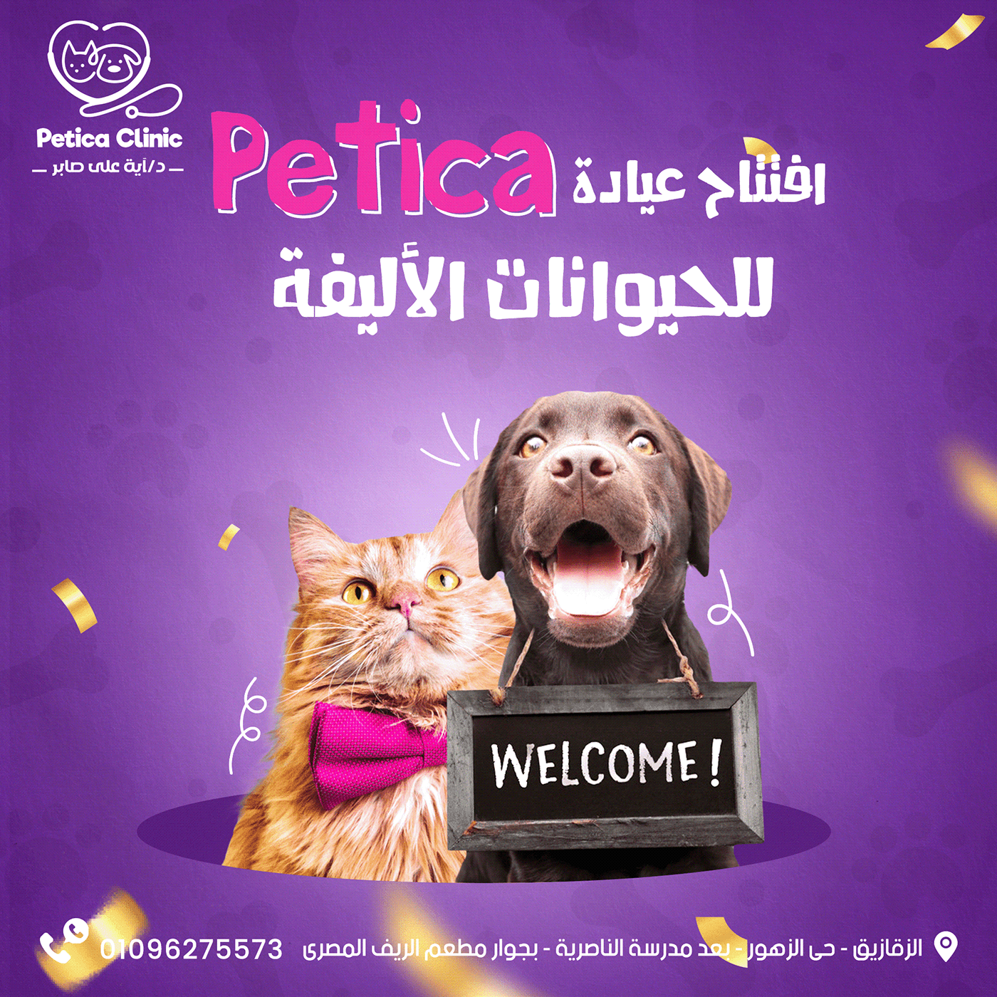 Advertising  Cat clinic clinica Pet pets petshop Social media post Socialmedia