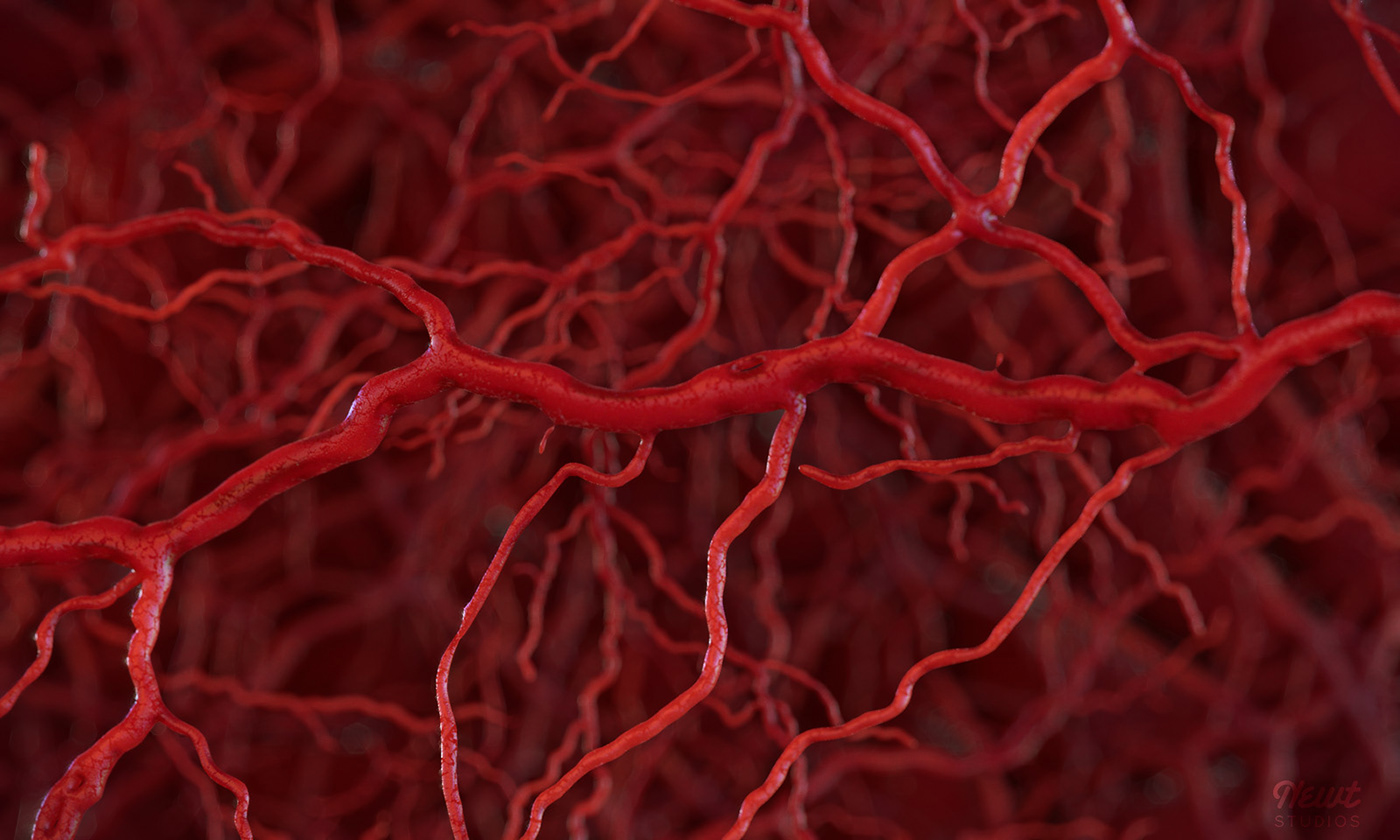 DNA cells biomedical Scientific Animation blood vessel capillary alveolus plasmid genetic Gene