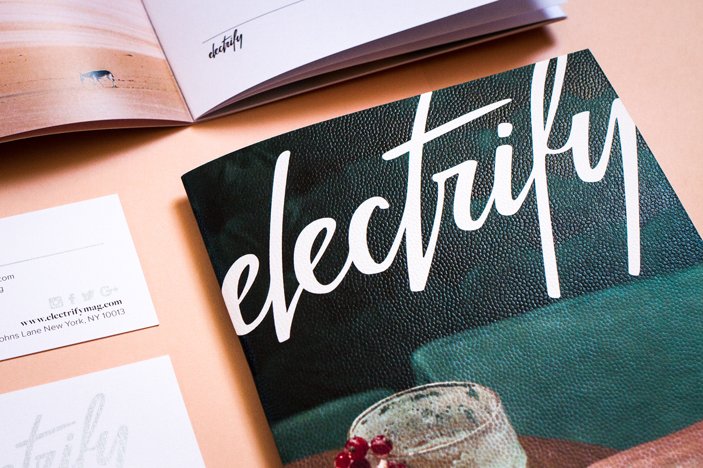 business card branding  electrify magazine publishing   editorial Media Kit print design  electrify publication