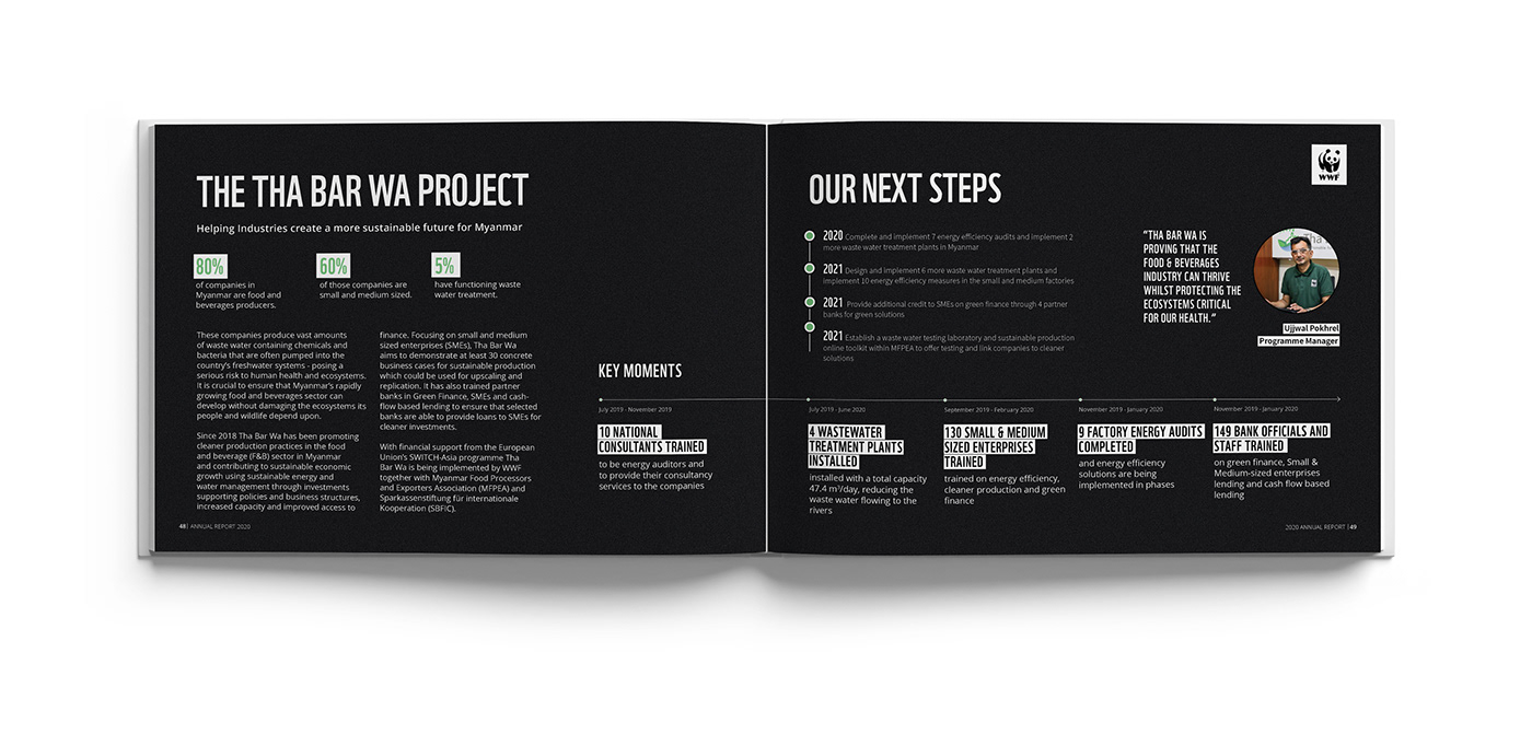 ANNUAL annual report designs design infographics Layout report report designs