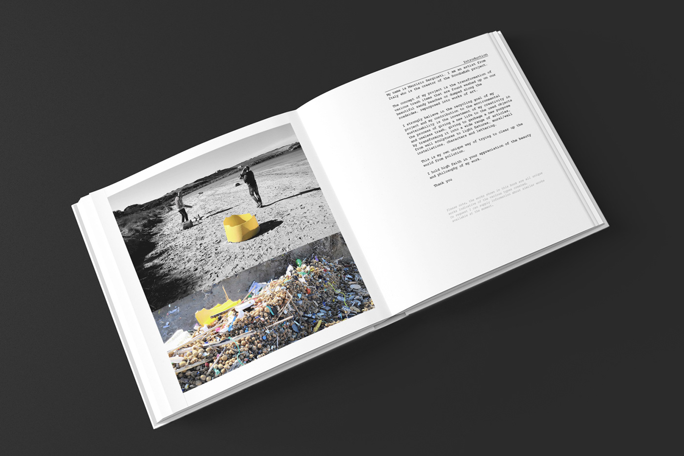 publishing   e-book ILLUSTRATION  blurb Editing  Catalogue Printing typography  