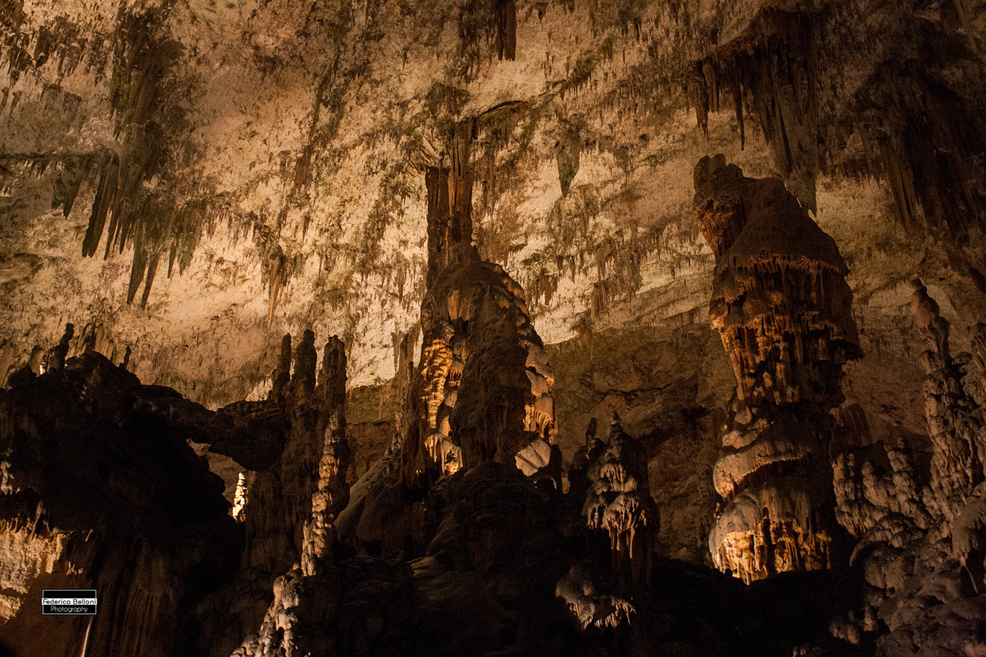 Photography  Nature naturephotography naturalist Canon slovenia Caves postojna Postumia proteus