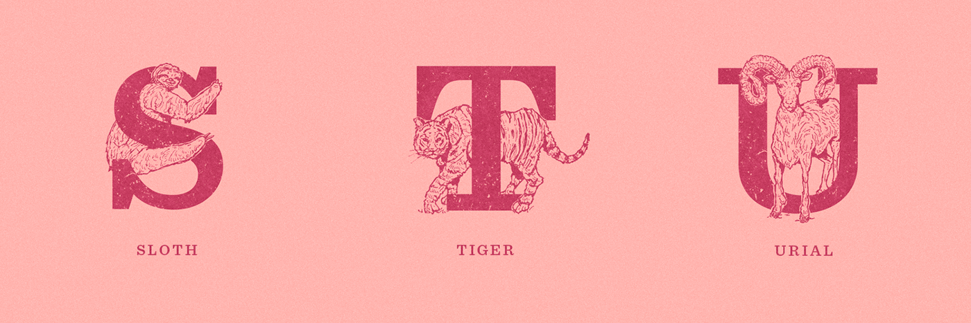 36 days animal art animals fauna ink illustration letters Logotype type typography  