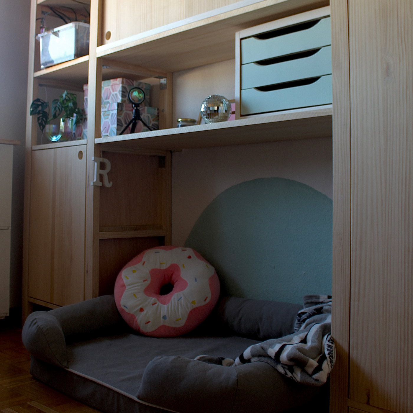 design interior design  handmade wood modern Space design studio dog pethouse