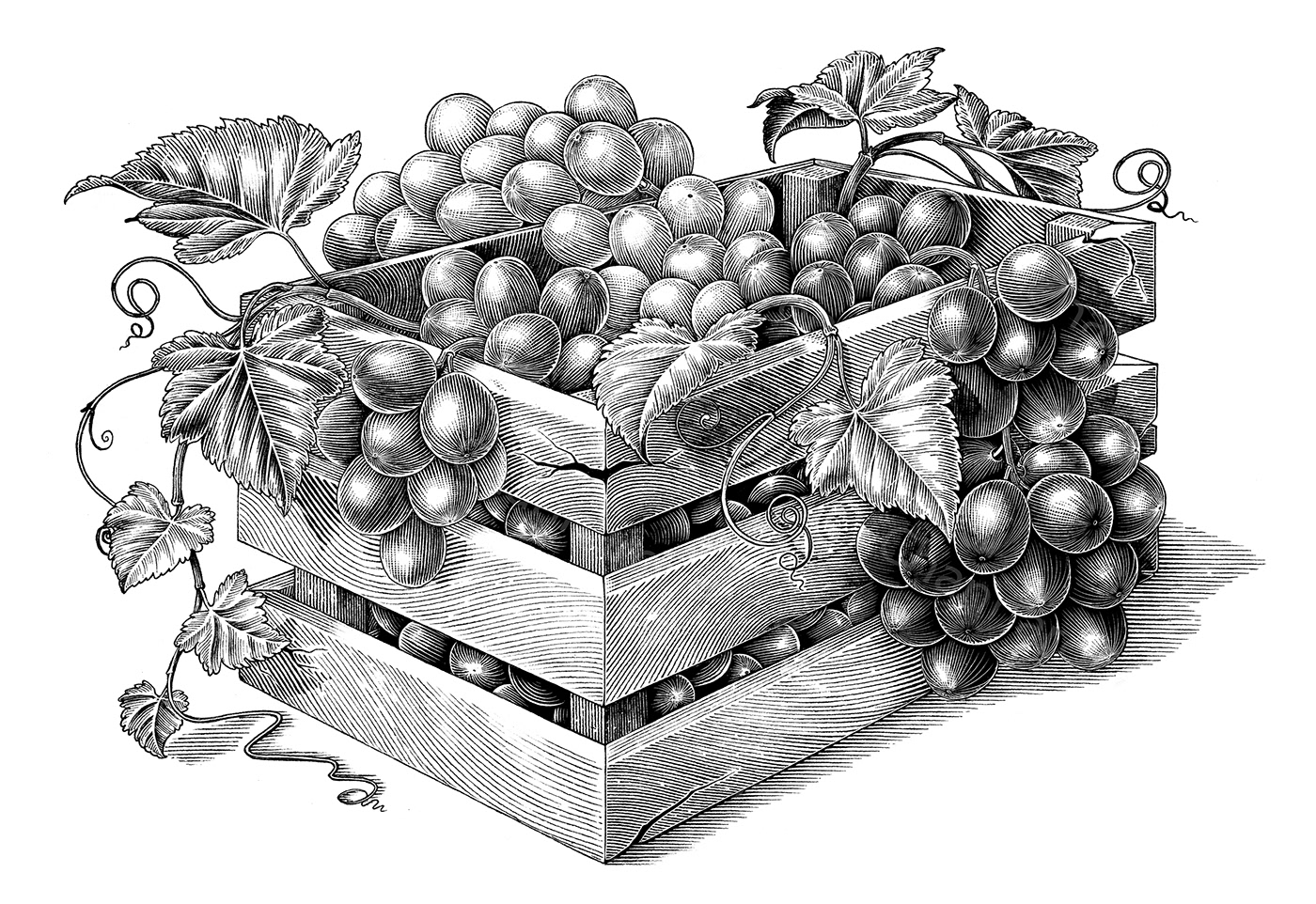 Графический натюрморт с виноградом