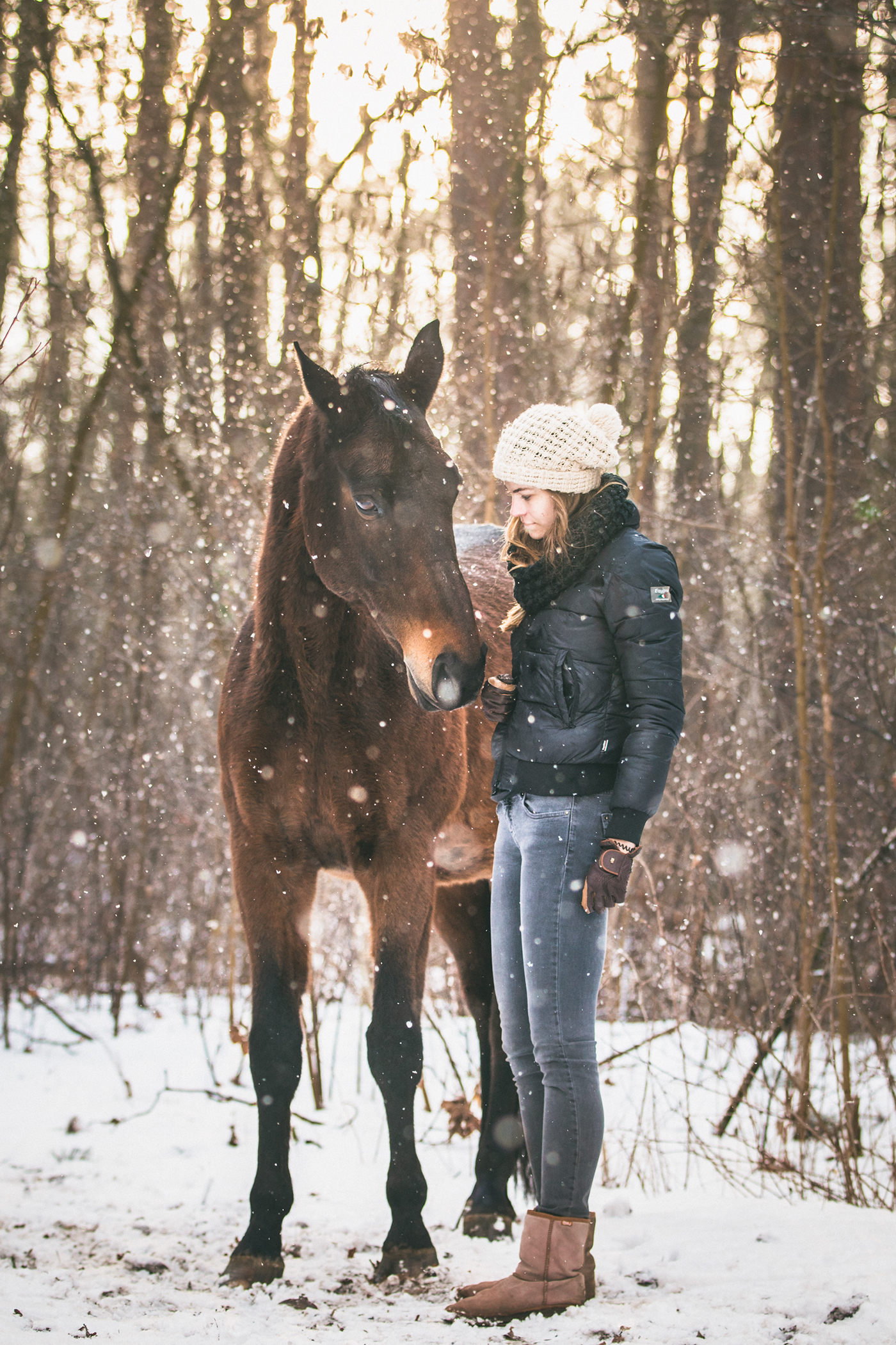 Snowy portraits snow winter forest horse girl equine horse riding Photography  Sun