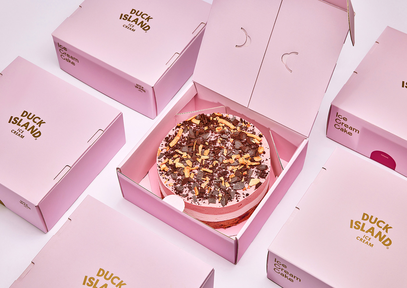 cake design Food  Packaging