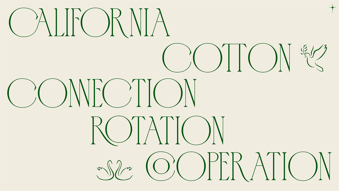 display font font free Free font Logotype sans serif text type design Typeface typography  