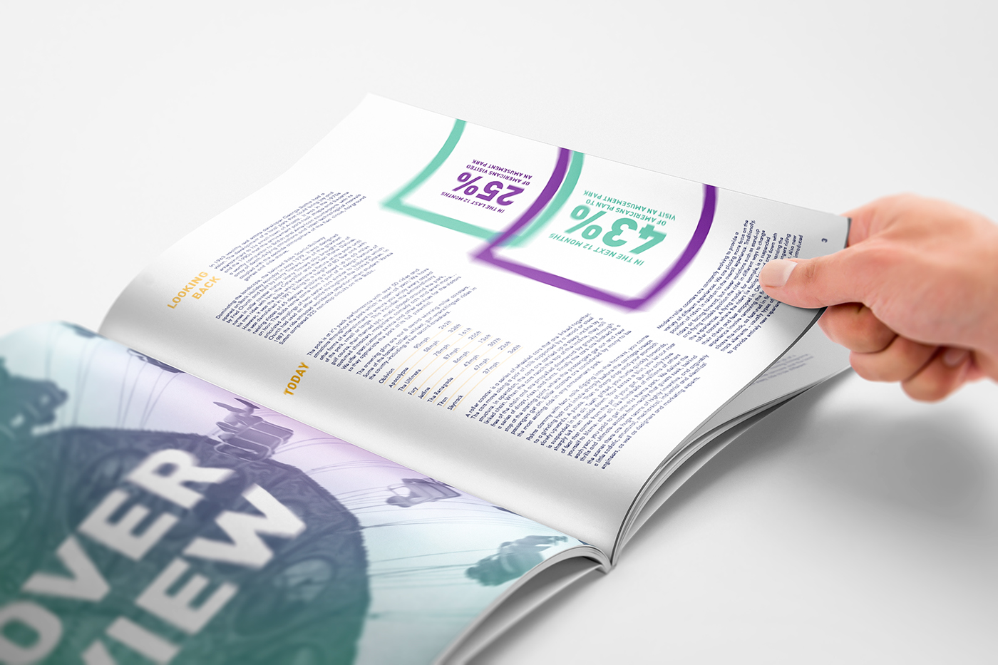 graphic design  design corporate report