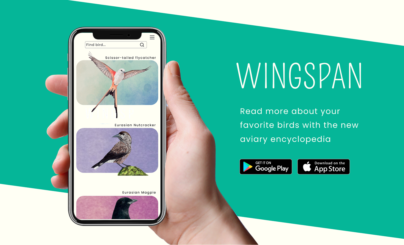 Figma Mobile app wingspan