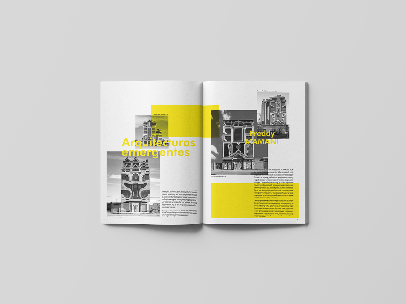 arquitectura design editorial diseño gráfico revista tipografia typography  