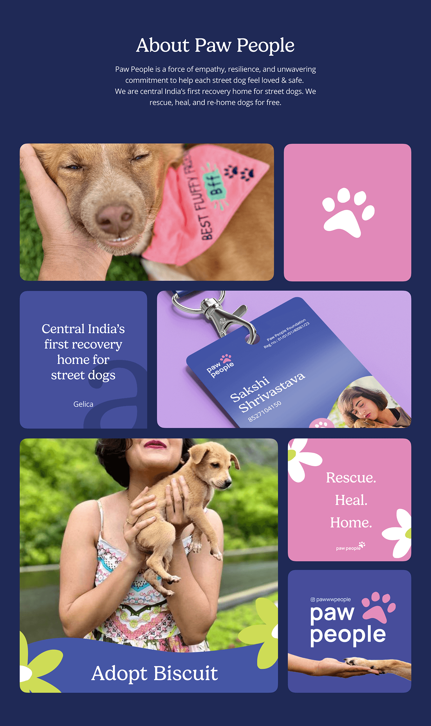 animals NGO Logo Design brand identity design branding  Pet shelter Wellness Health recovery