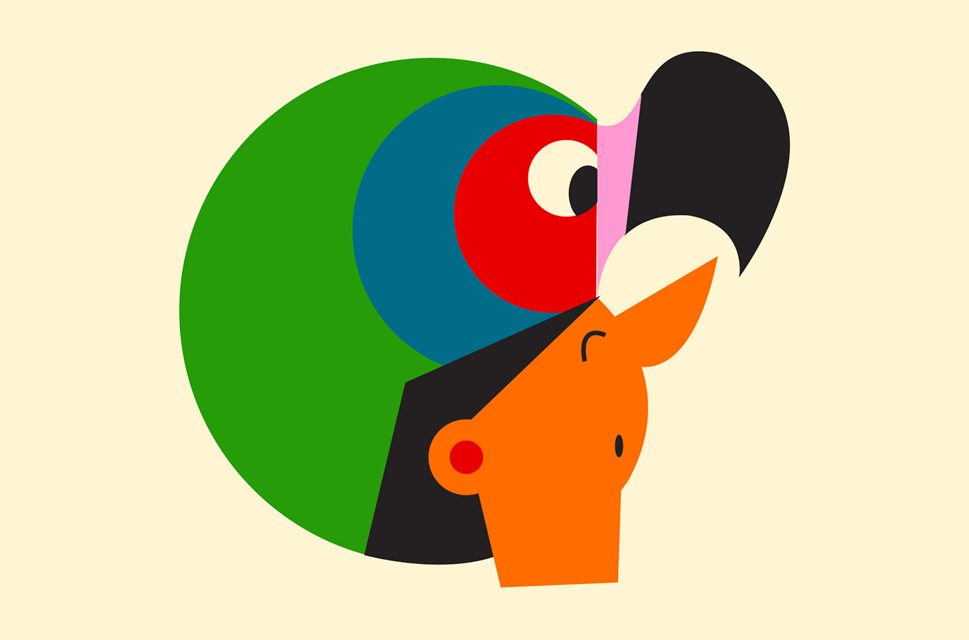 collage ethnique flattdesign ILLUSTRATION  Illustrator parrot simpleshape vector vectoriel