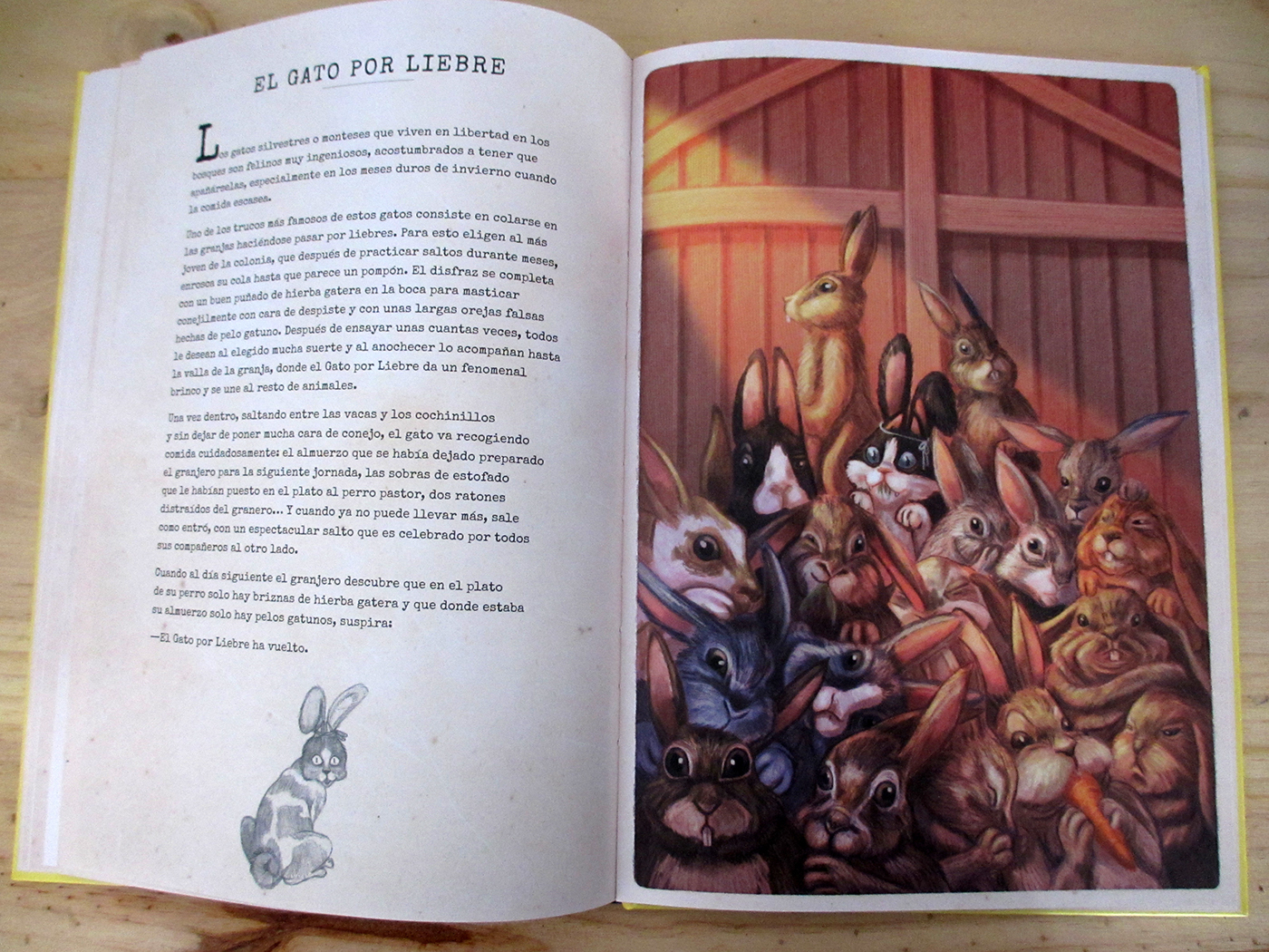 illustrated album Album Ilustrado ilustracion ILLUSTRATION  cats gatos