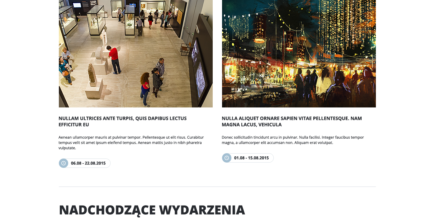 museum muzeum palac Webdesign katowice Sosnowiec poland polska