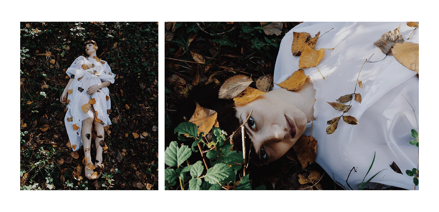 Photography  art forest Nikon model autumn