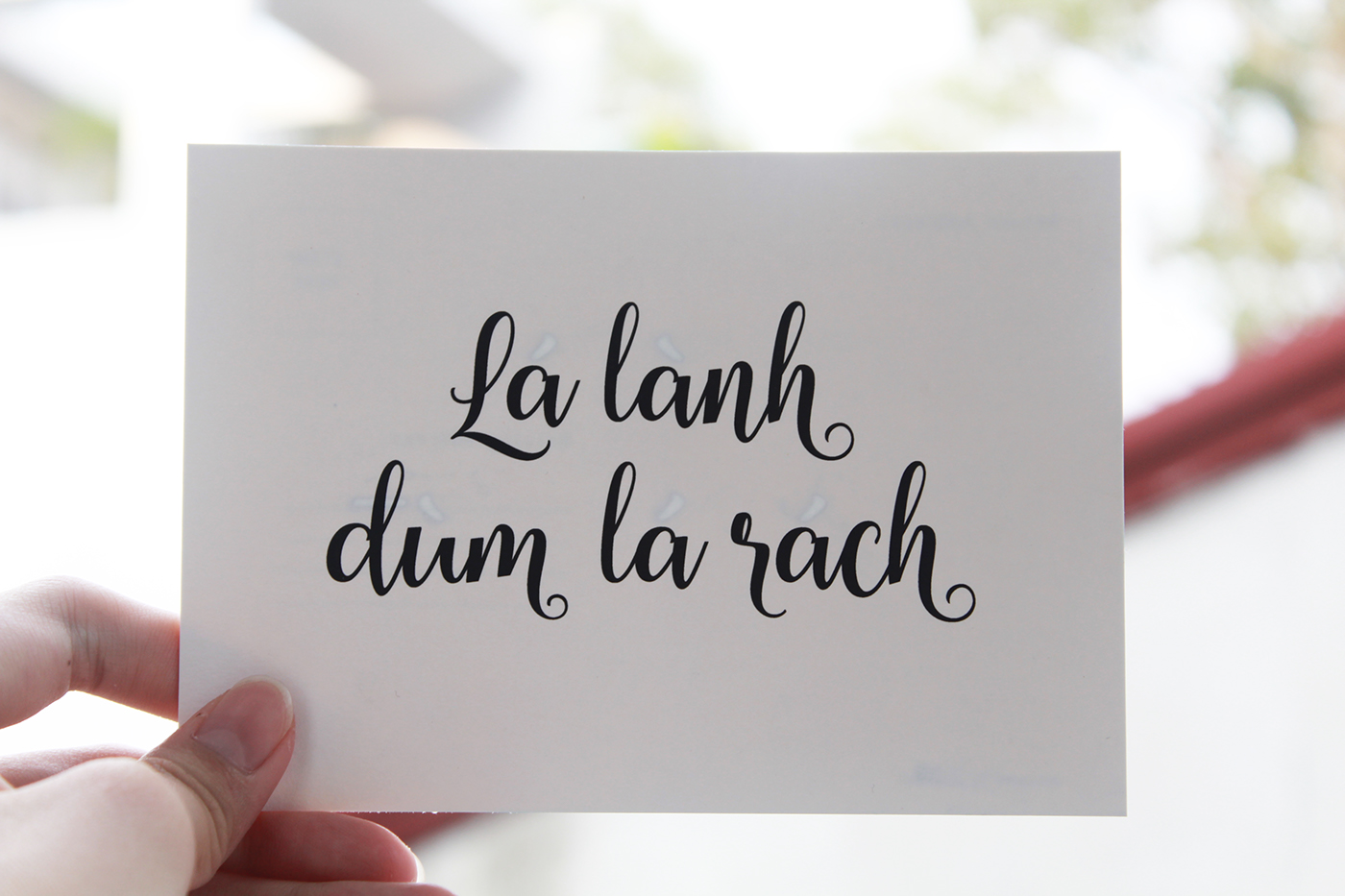 postcard vietnamese diacritics hidden Sunlit confessions print Lasercut handmade
