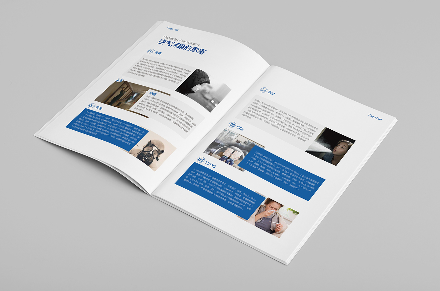 the Brochure 企业画册