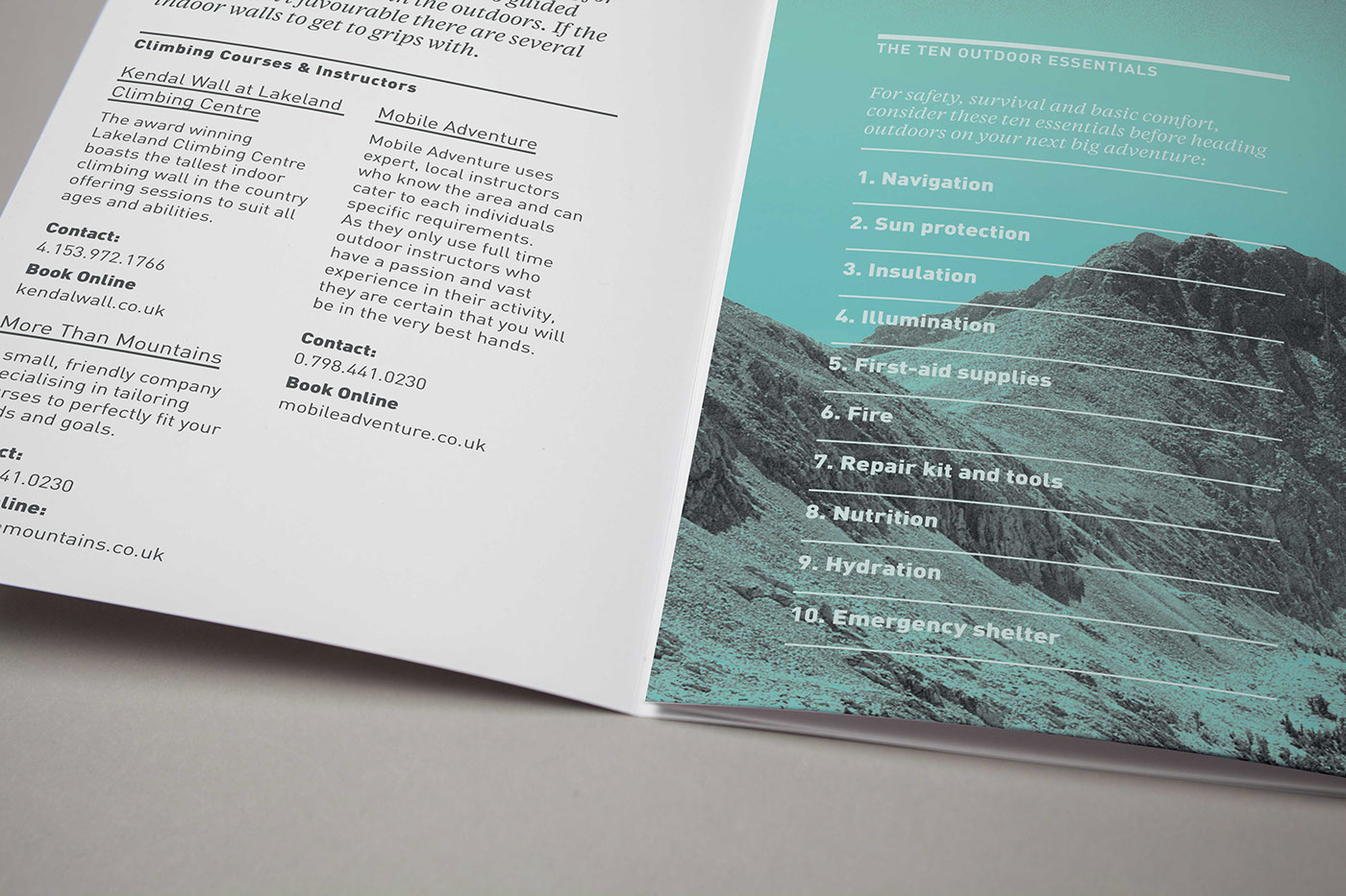 brochure trifold