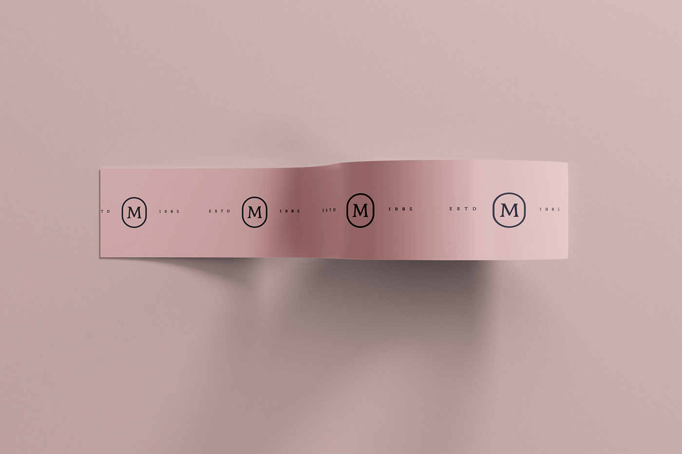Mockup Packaging psd mockup psd branding  visual identity product design  industrial design logo