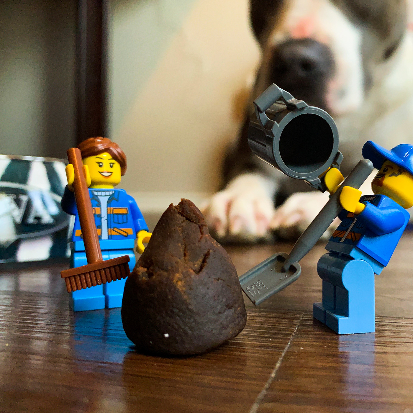 abstract animal background camera dog Foreground LEGO Lightbulb Stranger Things toy