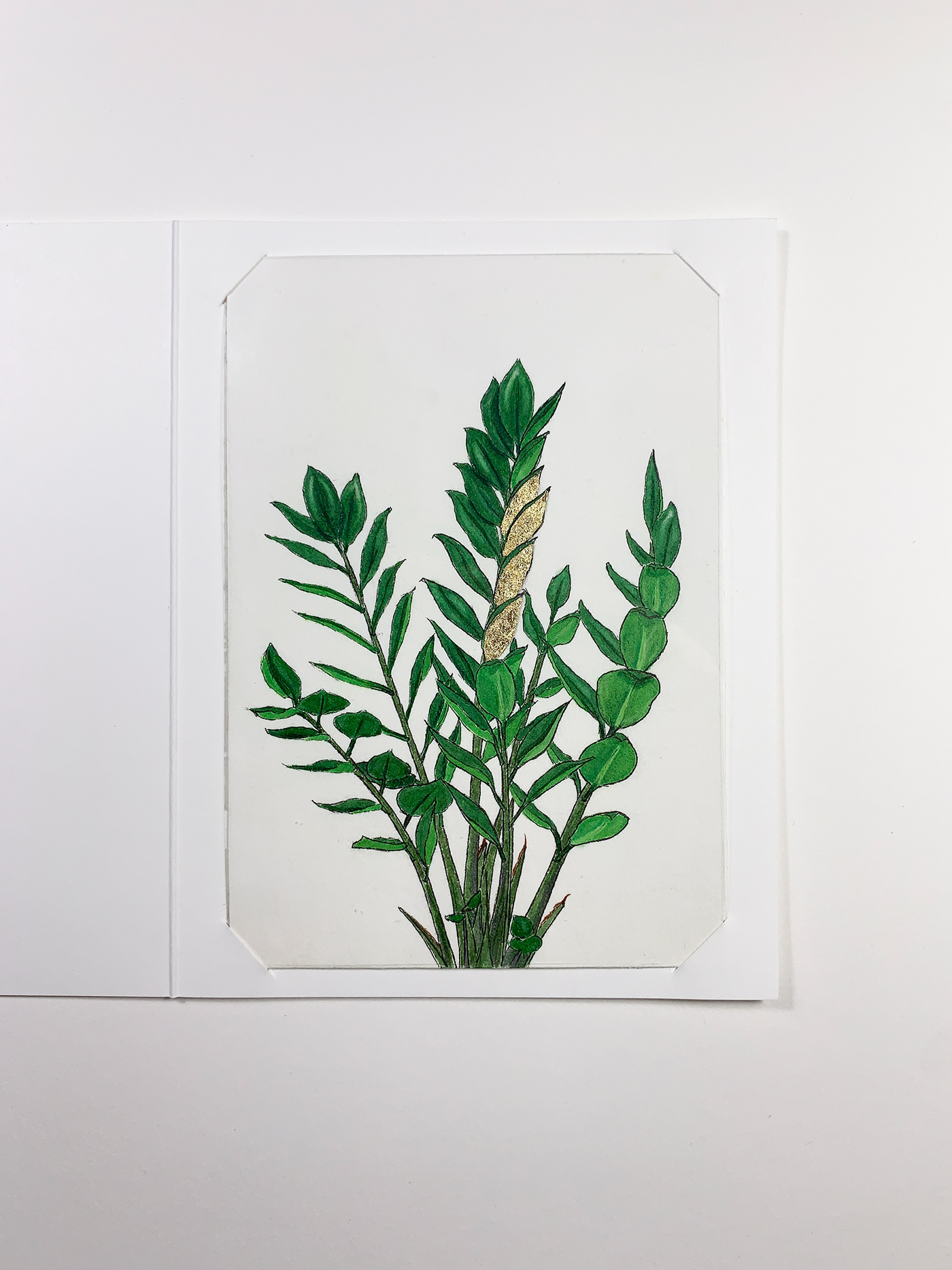 art cards Copic Drawing  gold greenery houseplants ILLUSTRATION  Nature plants